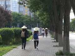 -西北农林科技大学(北校区)
