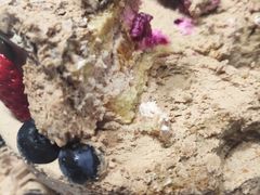 -EnergyCake蛋糕理想国