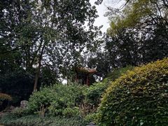 -柳侯公园