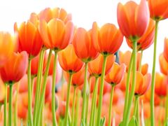 -长春公园(普阳街道)