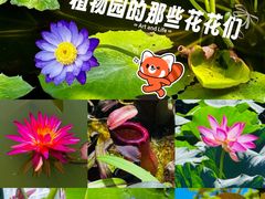 -国家植物园南园