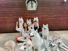 -TrueLove @ Neverland (Husky Cafe)