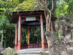 -望江楼公园