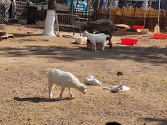 -杭州师范大学(下沙校区)