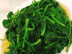 -廖老妈蹄花店(人民公园陕西街259号店)