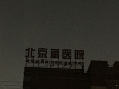 -北京藏医院