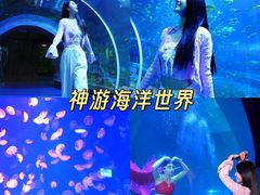 -威海华夏城景区