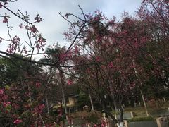 -广东外语外贸大学(白云山校区)