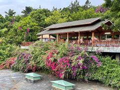 -湖泉半山温泉