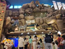 -卡通尼·Safari非洲探索乐园·生日会(金桥国际商业广场店)