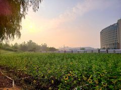 -南京医科大学(江宁校区)
