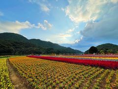 -广州市石门国家森林公园
