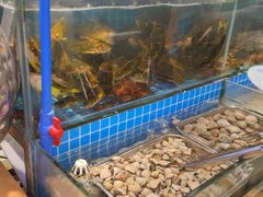 -鹿客臻鲜海鲜自助餐厅(永旺店)