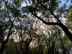 -教师之家赵家羊汤馆(东青龙街店)