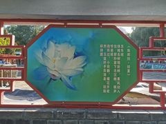 -莲花池公园