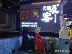 -猫咪博物馆(顶澳仔猫街店)
