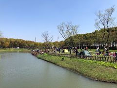 -嘉北郊野公园