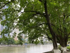 -中山公园(石岐街道)