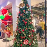 和莫莉一起过圣诞🎄 | 满满的氛围感好美