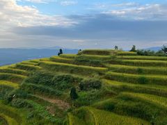 -紫鹊界梯田景区