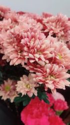 -摩睫+皮肤管理·科学美容中心