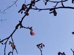 -乌山风景区