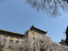 -武汉大学-樱园