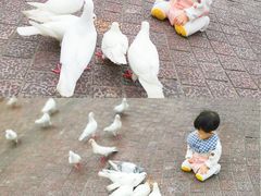 -东部华侨城