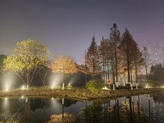 -洋湖国家湿地公园