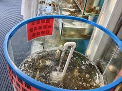 -仙螺岛海鲜自助餐厅(总店)