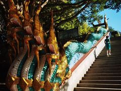 -西双版纳勐泐文化旅游区