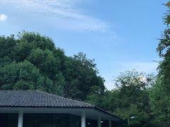 -西湖风景区-江洋畈生态公园
