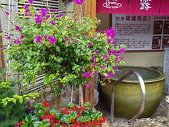 -大江户·温泉洗浴(浑南店)