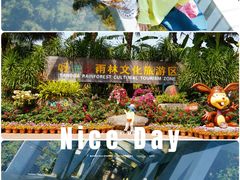 -呀诺达热带雨林