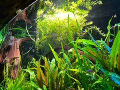 -上海海洋水族馆