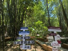 -英西峰林·洞天仙境