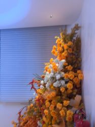 -WENDY·温迪皮肤管理