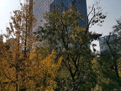 -重庆市江北嘴中央商务区中央公园