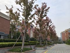 -浙江大学(紫金港校区)