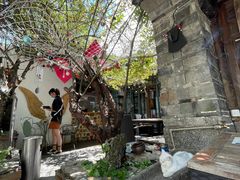 -喵屿·大理花园猫咖