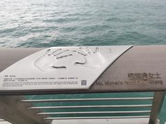 -星光大道