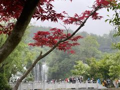 -天河潭旅游度假区