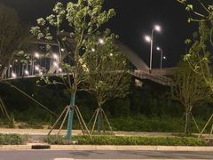 -南汇新场正宗水蜜桃采摘