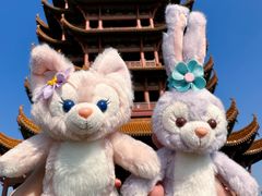 -黄鹤楼公园(黄鹤楼)