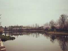 -白鹭湾湿地公园