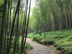 -广州市石门国家森林公园