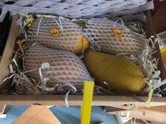 -老四川平头酸菜鱼(衙前店)