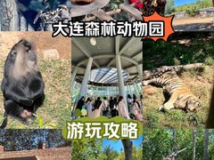 -大连森林动物园