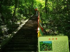 -孤山寨风景区