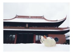 -苏州文庙(姑苏区)